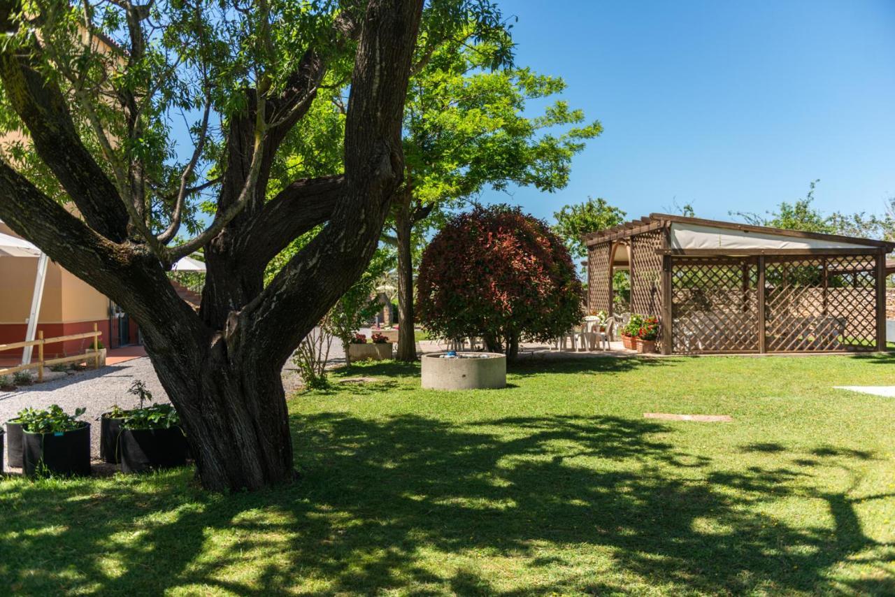 Agriturismo Le Vecchie Scuole Campiglia Marittima Ngoại thất bức ảnh