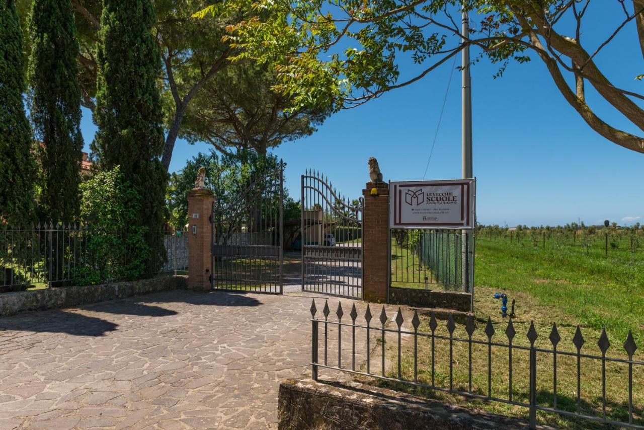 Agriturismo Le Vecchie Scuole Campiglia Marittima Ngoại thất bức ảnh